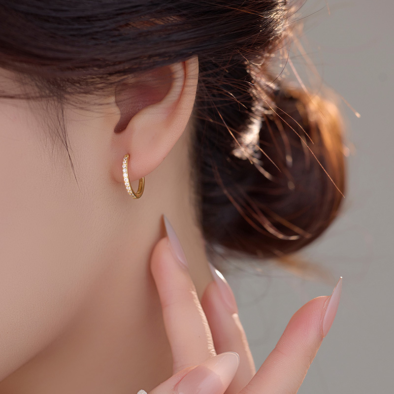 S925 Sterling Silver Zirconia Circle Earrings - Image 2