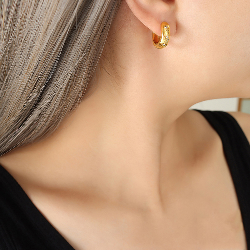 Titanium Steel Zirconia French Vintage Earrings - Image 3