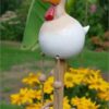 Long-legged chicken - white chicken