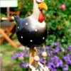 Long-legged chicken - black chicken