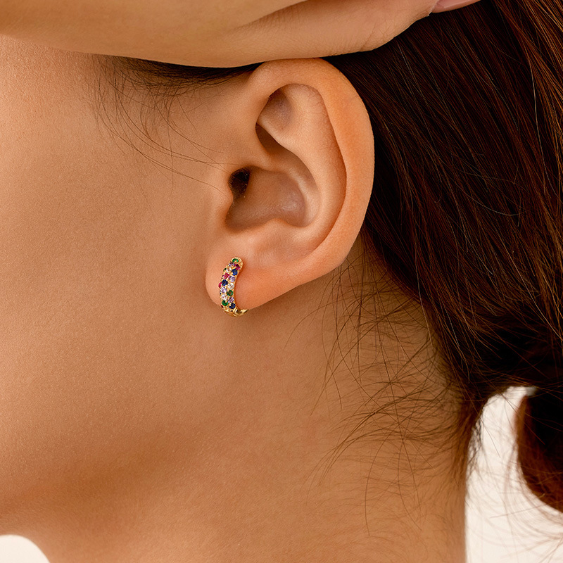 S925 Sterling Silver Rainbow Zirconia Earrings - Image 2