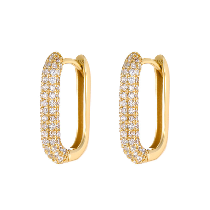 S925 Sterling Silver Geometric Zirconia Earrings - Image 4