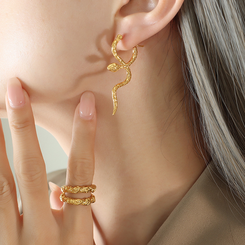 Titanium Steel Intertwined Snake Earrings - Image 4