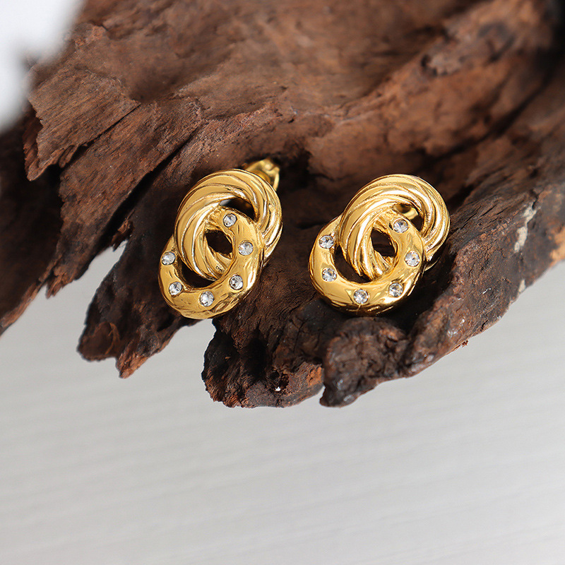 Titanium Steel Double Hoop Crystal Earrings